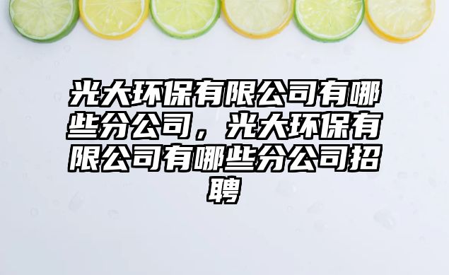 光大環(huán)保有限公司有哪些分公司，光大環(huán)保有限公司有哪些分公司招聘