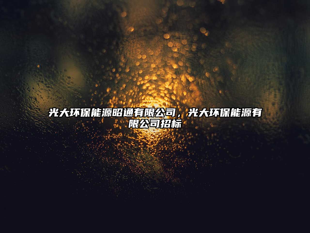光大環(huán)保能源昭通有限公司，光大環(huán)保能源有限公司招標(biāo)