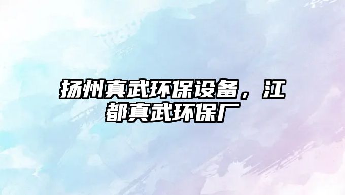 揚州真武環(huán)保設備，江都真武環(huán)保廠