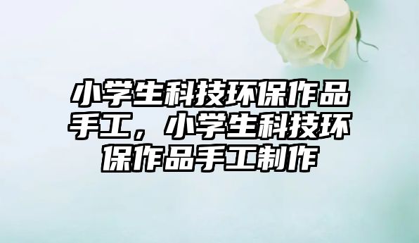 小學(xué)生科技環(huán)保作品手工，小學(xué)生科技環(huán)保作品手工制作