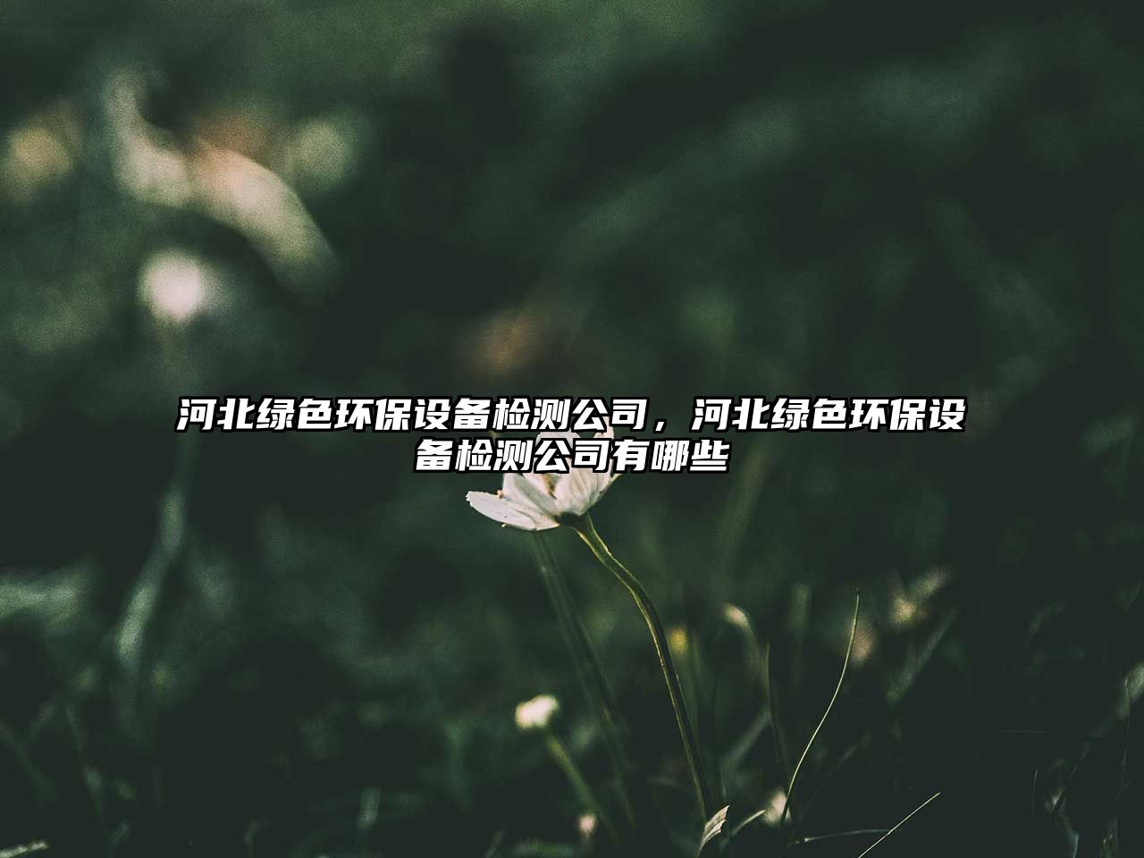 河北綠色環(huán)保設(shè)備檢測公司，河北綠色環(huán)保設(shè)備檢測公司有哪些