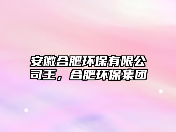 安徽合肥環(huán)保有限公司王，合肥環(huán)保集團