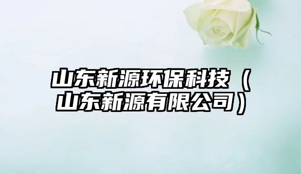 山東新源環(huán)?？萍迹ㄉ綎|新源有限公司）