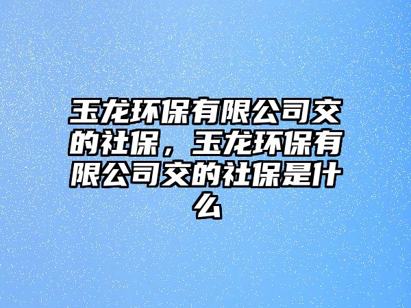 玉龍環(huán)保有限公司交的社保，玉龍環(huán)保有限公司交的社保是什么