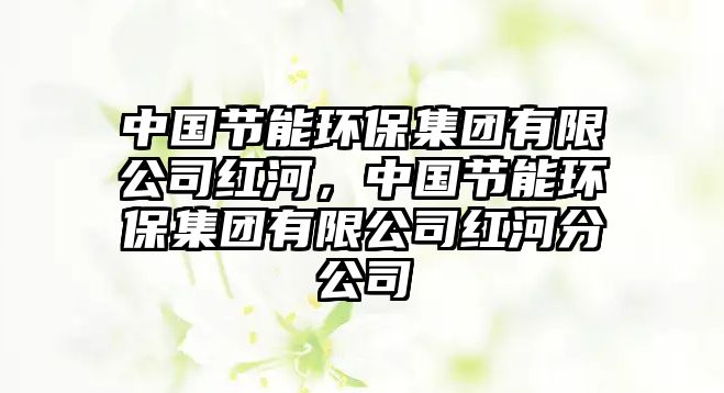 中國節(jié)能環(huán)保集團有限公司紅河，中國節(jié)能環(huán)保集團有限公司紅河分公司