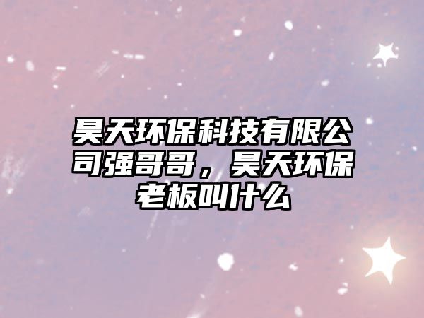 昊天環(huán)?？萍加邢薰緩姼绺?，昊天環(huán)保老板叫什么