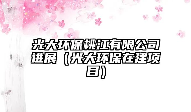 光大環(huán)保桃江有限公司進(jìn)展（光大環(huán)保在建項目）