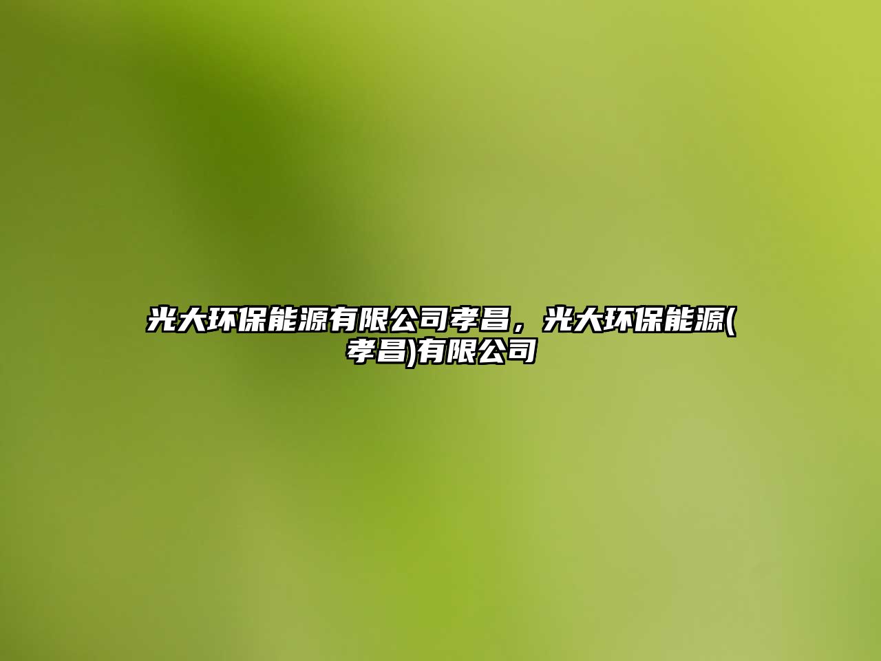 光大環(huán)保能源有限公司孝昌，光大環(huán)保能源(孝昌)有限公司