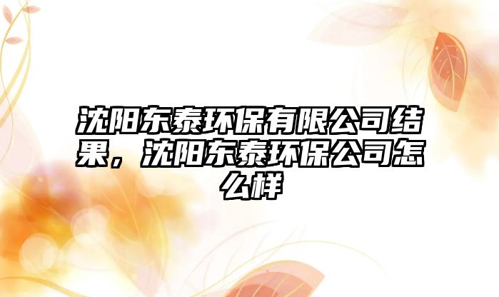 沈陽東泰環(huán)保有限公司結果，沈陽東泰環(huán)保公司怎么樣