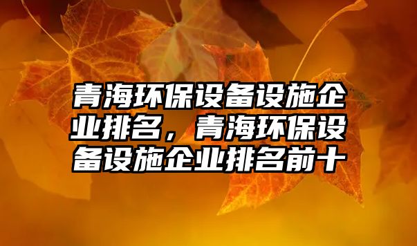 青海環(huán)保設(shè)備設(shè)施企業(yè)排名，青海環(huán)保設(shè)備設(shè)施企業(yè)排名前十
