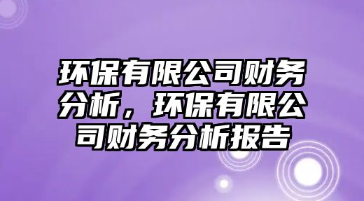 環(huán)保有限公司財(cái)務(wù)分析，環(huán)保有限公司財(cái)務(wù)分析報告