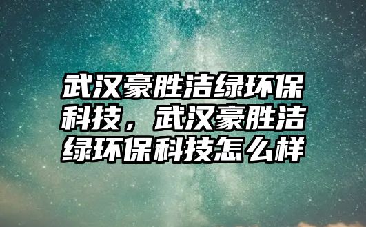 武漢豪勝潔綠環(huán)?？萍?，武漢豪勝潔綠環(huán)?？萍荚趺礃?/> 
									</a>
									<h4 class=