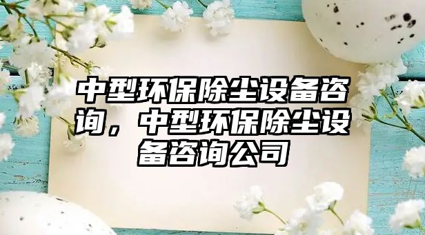中型環(huán)保除塵設備咨詢，中型環(huán)保除塵設備咨詢公司