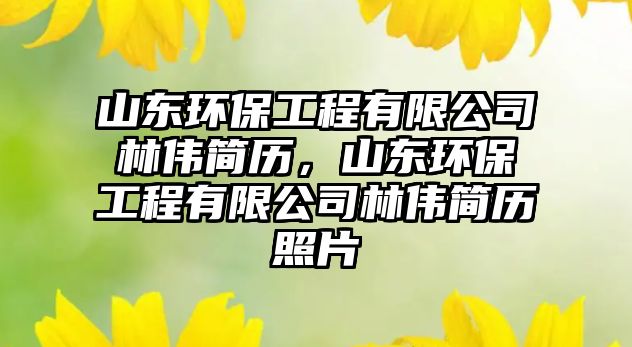 山東環(huán)保工程有限公司林偉簡歷，山東環(huán)保工程有限公司林偉簡歷照片