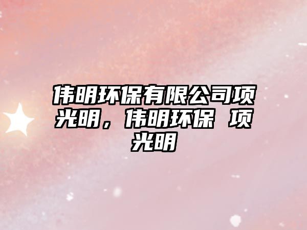 偉明環(huán)保有限公司項(xiàng)光明，偉明環(huán)保 項(xiàng)光明