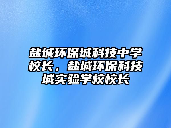 鹽城環(huán)保城科技中學校長，鹽城環(huán)?？萍汲菍嶒瀸W校校長