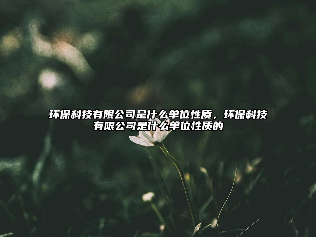 環(huán)?？萍加邢薰臼鞘裁磫挝恍再|(zhì)，環(huán)?？萍加邢薰臼鞘裁磫挝恍再|(zhì)的
