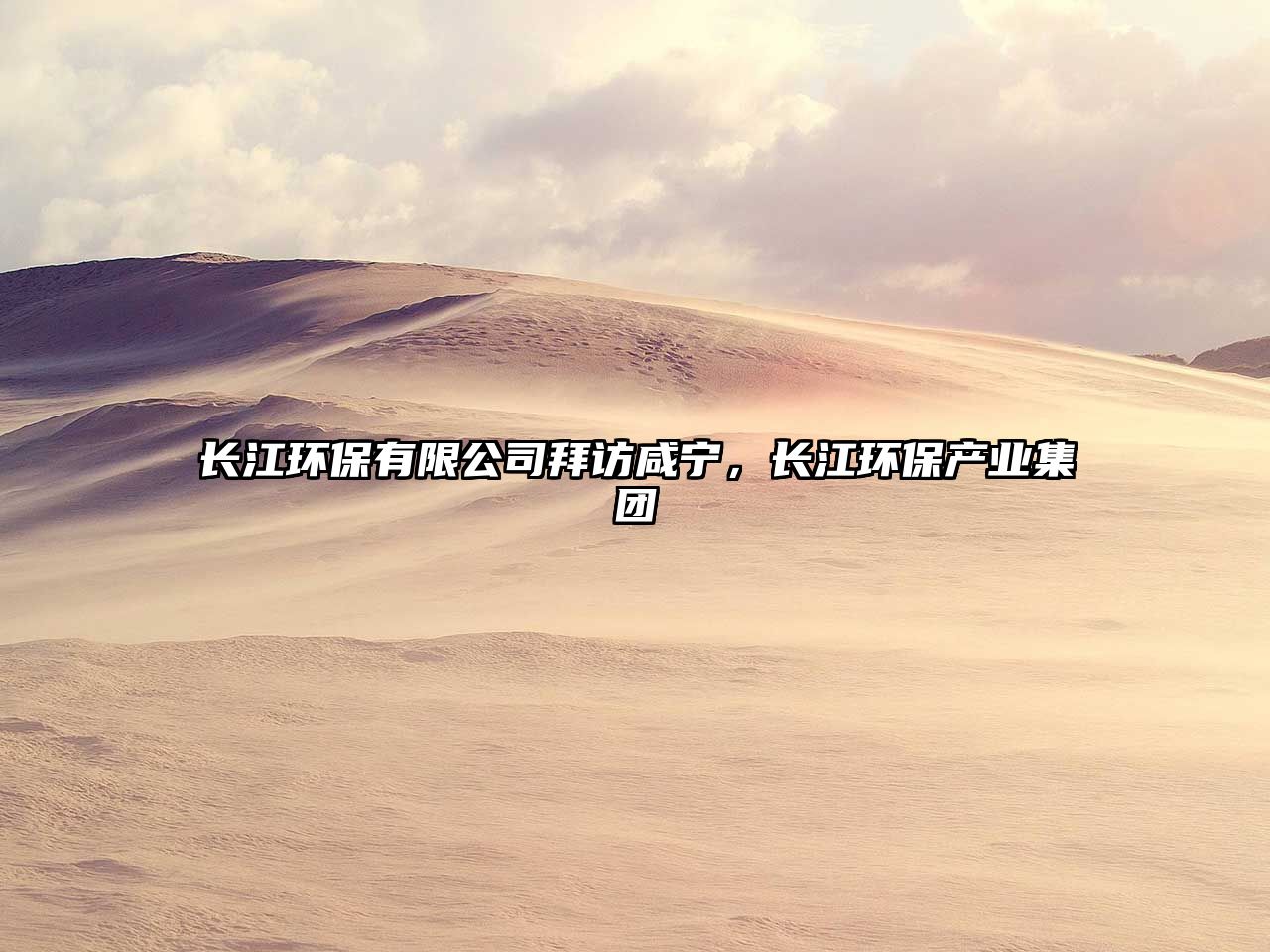 長江環(huán)保有限公司拜訪咸寧，長江環(huán)保產(chǎn)業(yè)集團(tuán)