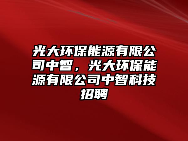 光大環(huán)保能源有限公司中智，光大環(huán)保能源有限公司中智科技招聘