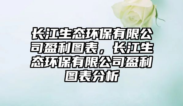 長江生態(tài)環(huán)保有限公司盈利圖表，長江生態(tài)環(huán)保有限公司盈利圖表分析