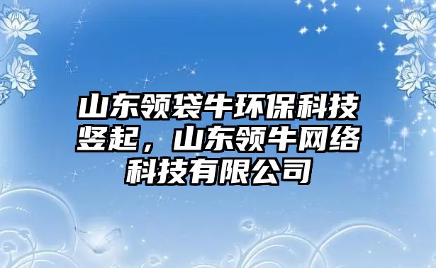 山東領(lǐng)袋牛環(huán)?？萍钾Q起，山東領(lǐng)牛網(wǎng)絡(luò)科技有限公司