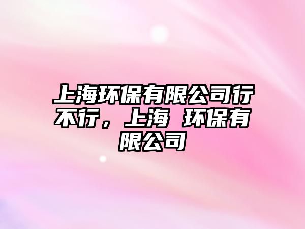上海環(huán)保有限公司行不行，上海 環(huán)保有限公司