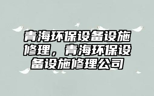 青海環(huán)保設備設施修理，青海環(huán)保設備設施修理公司