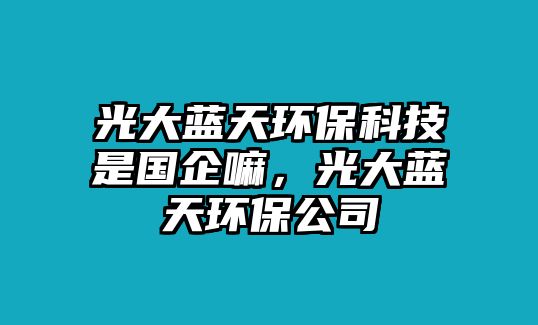光大藍(lán)天環(huán)?？萍际菄舐?，光大藍(lán)天環(huán)保公司