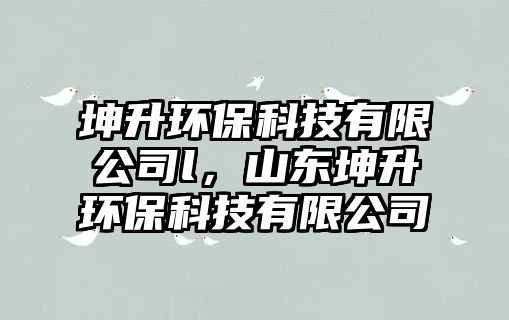 坤升環(huán)保科技有限公司l，山東坤升環(huán)?？萍加邢薰? class=