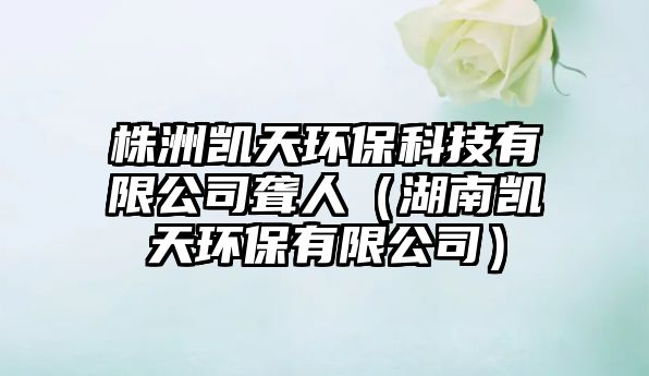 株洲凱天環(huán)?？萍加邢薰久@人（湖南凱天環(huán)保有限公司）