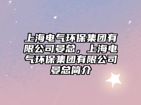 上海電氣環(huán)保集團(tuán)有限公司晏總，上海電氣環(huán)保集團(tuán)有限公司晏總簡(jiǎn)介