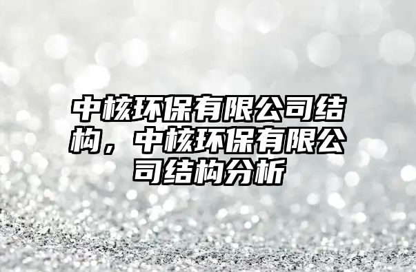 中核環(huán)保有限公司結(jié)構(gòu)，中核環(huán)保有限公司結(jié)構(gòu)分析