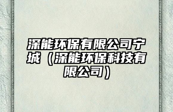 深能環(huán)保有限公司寧城（深能環(huán)保科技有限公司）