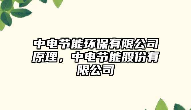中電節(jié)能環(huán)保有限公司原理，中電節(jié)能股份有限公司