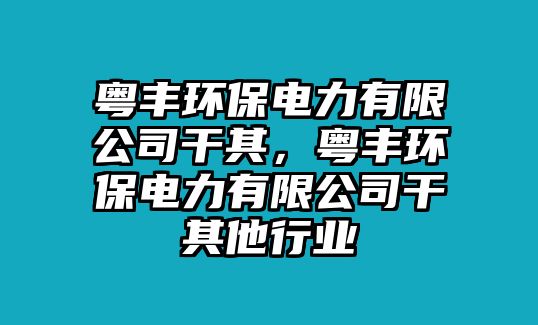 粵豐環(huán)保電力有限公司干其，粵豐環(huán)保電力有限公司干其他行業(yè)