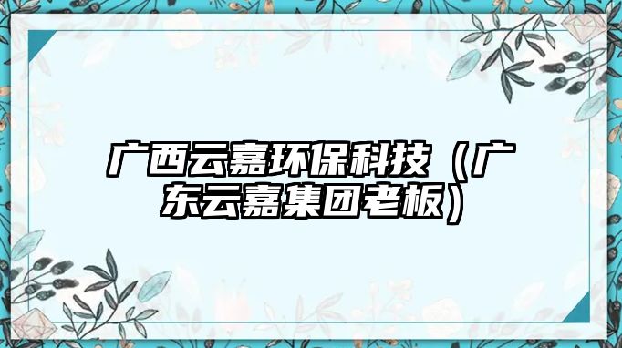 廣西云嘉環(huán)?？萍迹◤V東云嘉集團(tuán)老板）