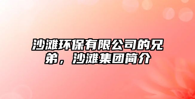 沙灘環(huán)保有限公司的兄弟，沙灘集團(tuán)簡介
