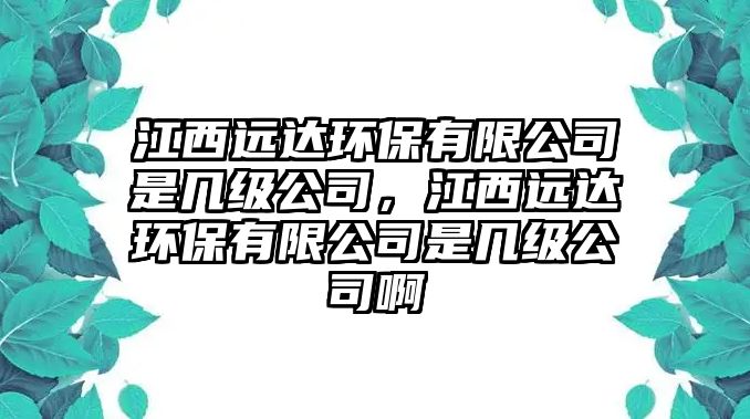 江西遠(yuǎn)達(dá)環(huán)保有限公司是幾級公司，江西遠(yuǎn)達(dá)環(huán)保有限公司是幾級公司啊