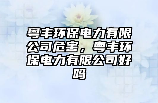 粵豐環(huán)保電力有限公司危害，粵豐環(huán)保電力有限公司好嗎