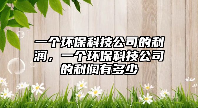 一個(gè)環(huán)?？萍脊镜睦麧?rùn)，一個(gè)環(huán)保科技公司的利潤(rùn)有多少