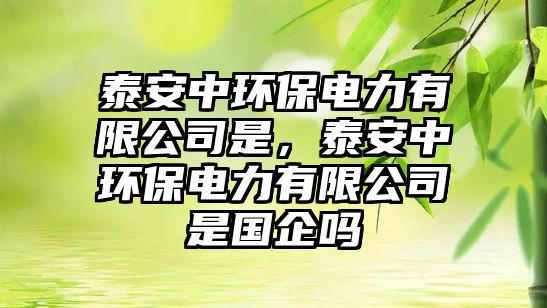 泰安中環(huán)保電力有限公司是，泰安中環(huán)保電力有限公司是國企嗎