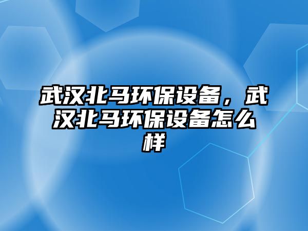 武漢北馬環(huán)保設(shè)備，武漢北馬環(huán)保設(shè)備怎么樣