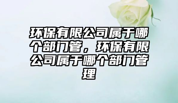 環(huán)保有限公司屬于哪個(gè)部門管，環(huán)保有限公司屬于哪個(gè)部門管理