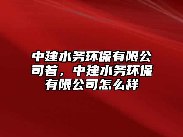 中建水務(wù)環(huán)保有限公司著，中建水務(wù)環(huán)保有限公司怎么樣