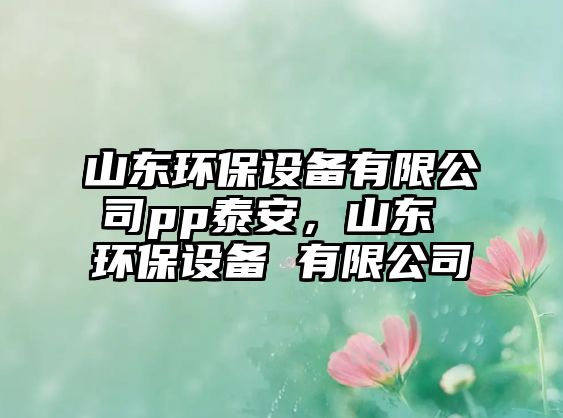 山東環(huán)保設(shè)備有限公司pp泰安，山東 環(huán)保設(shè)備 有限公司