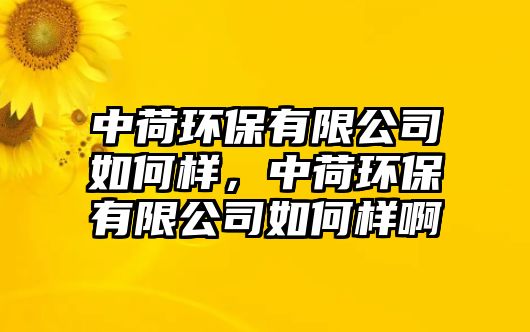 中荷環(huán)保有限公司如何樣，中荷環(huán)保有限公司如何樣啊