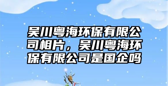 吳川粵海環(huán)保有限公司相片，吳川粵海環(huán)保有限公司是國(guó)企嗎