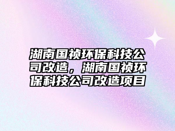 湖南國(guó)禎環(huán)保科技公司改造，湖南國(guó)禎環(huán)保科技公司改造項(xiàng)目