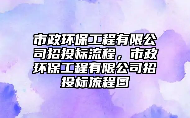 市政環(huán)保工程有限公司招投標(biāo)流程，市政環(huán)保工程有限公司招投標(biāo)流程圖