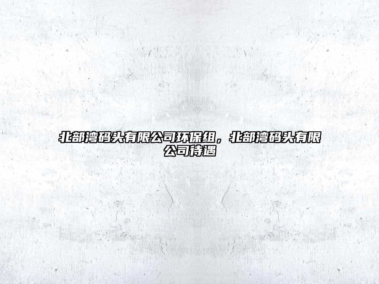 北部灣碼頭有限公司環(huán)保組，北部灣碼頭有限公司待遇